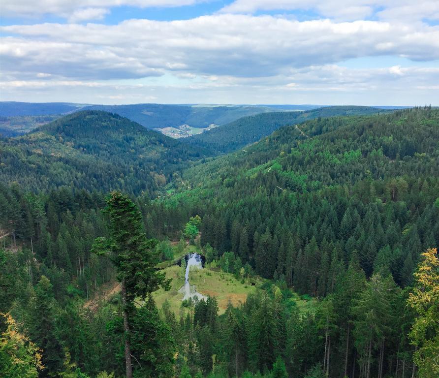 Kraehenbad Hotel Alpirsbach Dış mekan fotoğraf