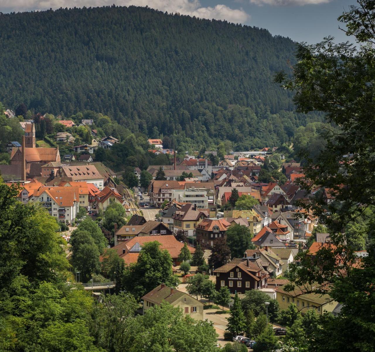 Kraehenbad Hotel Alpirsbach Dış mekan fotoğraf