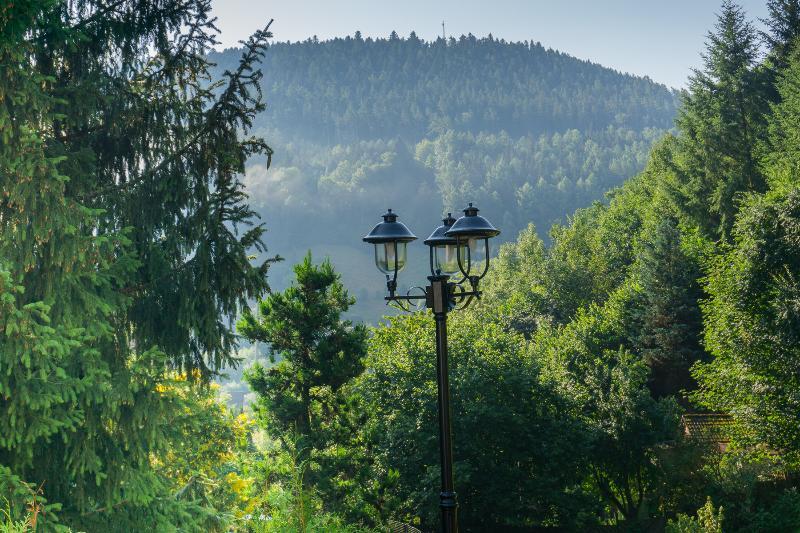 Kraehenbad Hotel Alpirsbach Dış mekan fotoğraf