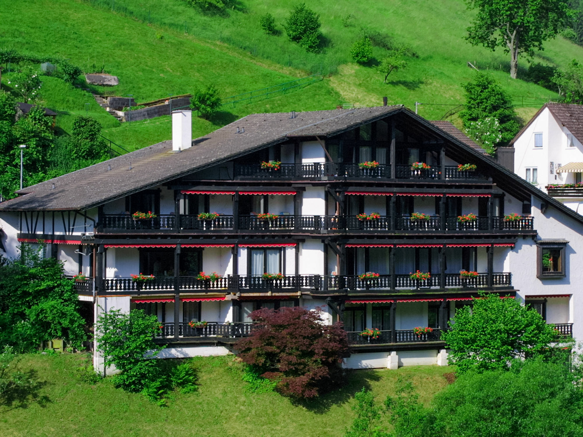 Kraehenbad Hotel Alpirsbach Dış mekan fotoğraf