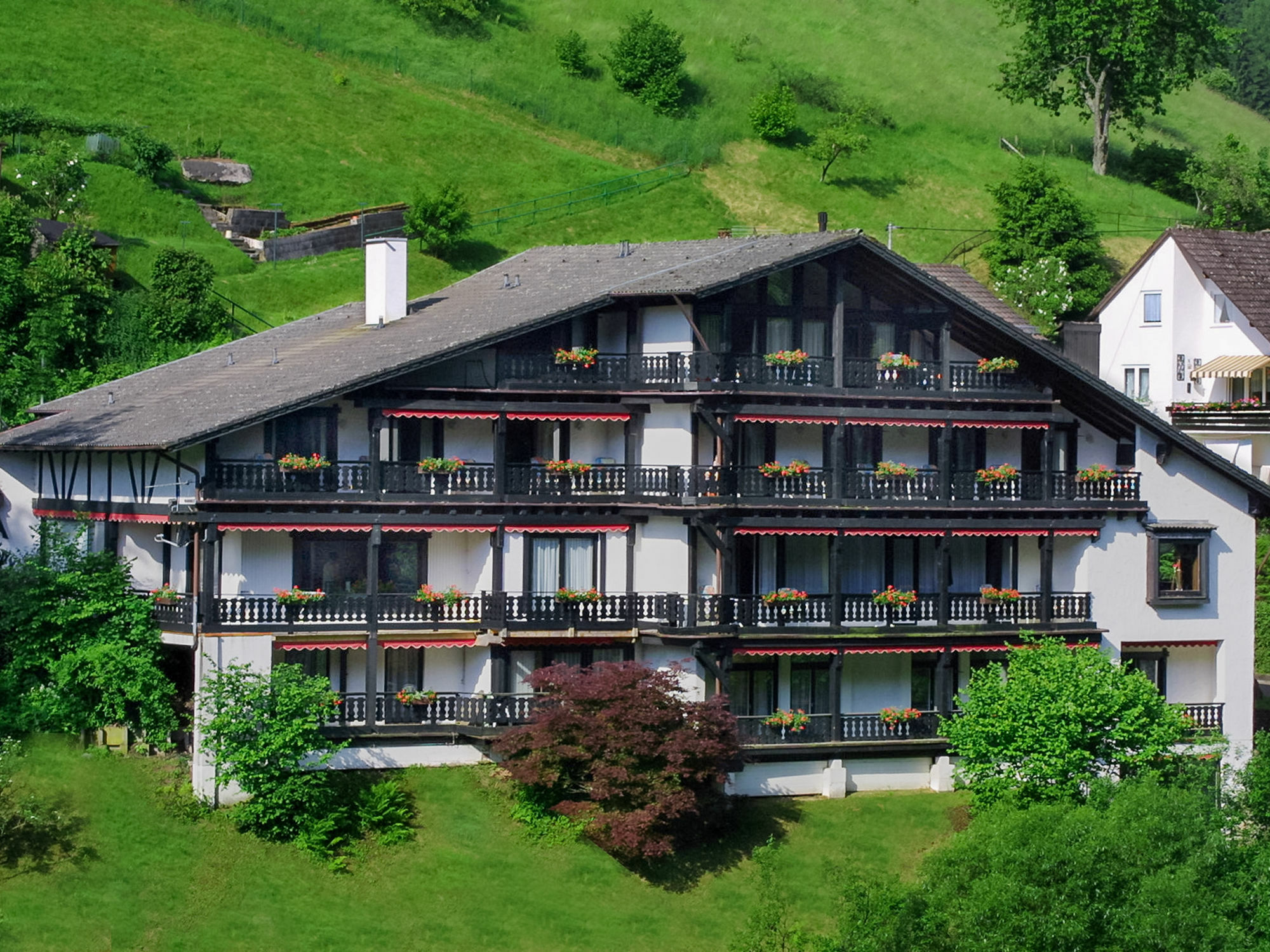 Kraehenbad Hotel Alpirsbach Dış mekan fotoğraf